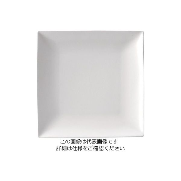 ミヤザキ食器 スパッツィオ スクエア プレート 白 (L)10 1/2インチ 62-6840-19 1枚（直送品）