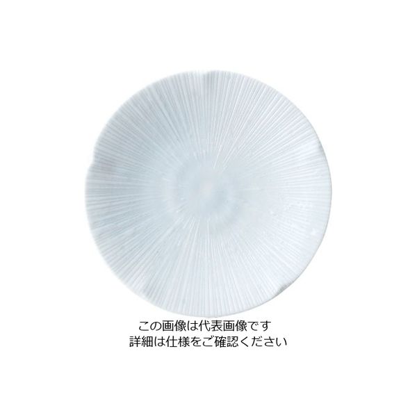 ミヤザキ食器 京千段 小皿 13cm MJ118-311 1枚 62-6840-54（直送品）