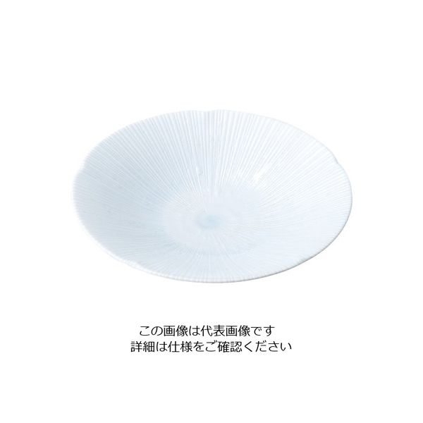 ミヤザキ食器 京千段 盛皿 22cm MJ118-318 1枚 62-6840-61（直送品）