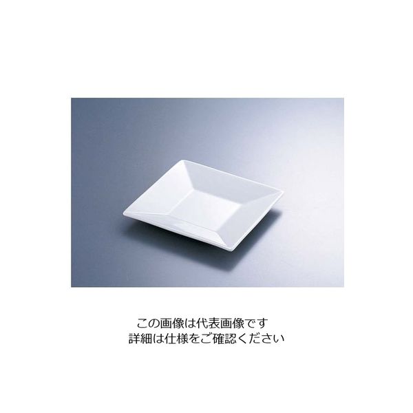 遠藤商事 13.5cmプレート 62-6840-74 1枚（直送品）