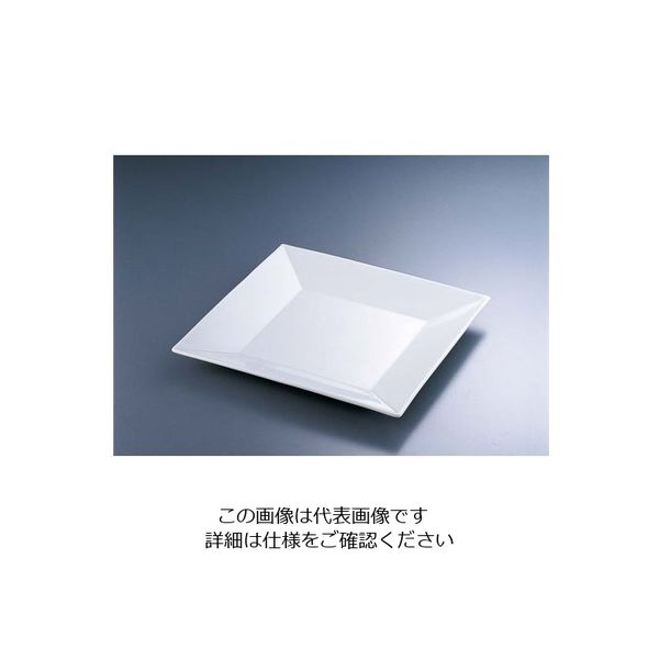 遠藤商事 Cー184 25cmプレート 62-6840-77 1枚（直送品）