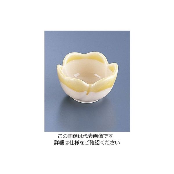遠藤商事 黄花小付 62-6842-76 1個（直送品）