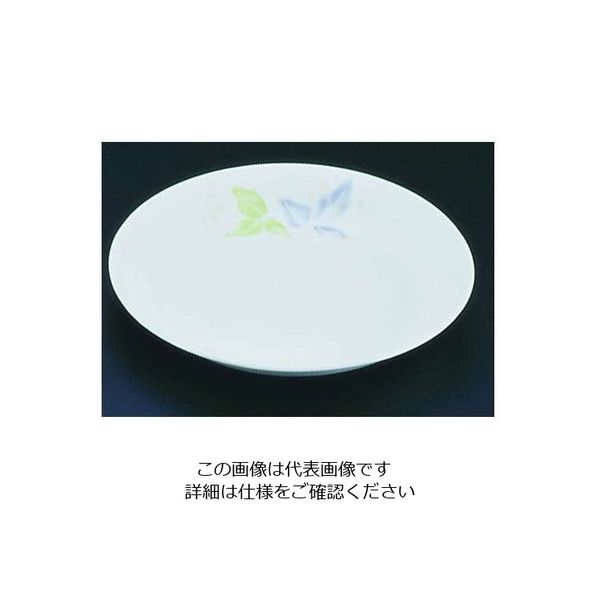 遠藤商事 キューセラ洋ぶどうシリーズ 和皿 22cm 1枚 62-6857-05（直送品）