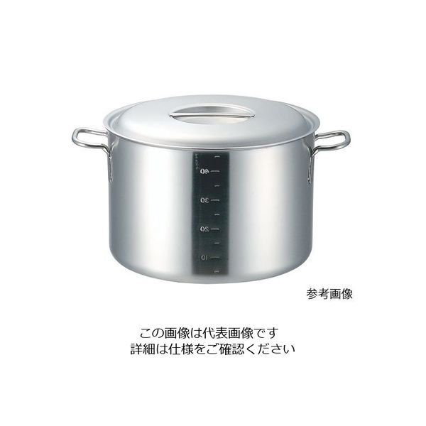 本間製作所 プロデンジ 半寸胴鍋 目盛付 21cm(5.0L) 62-8157-61 1個（直送品）