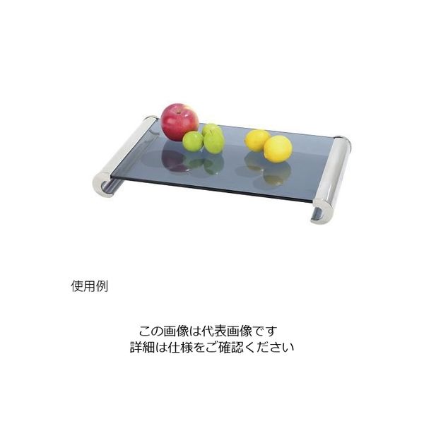 遠藤商事 KINGO グラスディスプレイプレート L 63-1260-67 1個（直送品）