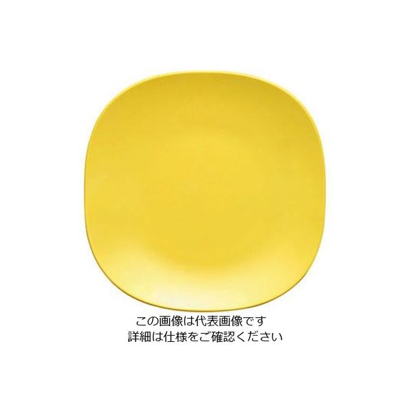 台和 カフェプレートセレクション 26cmスクウェアプレート SS-10