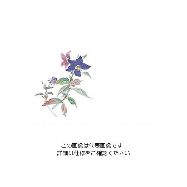 マイン 耐油懐敷 15角 ききょう 1000枚入 C33ー003 295245 1枚(1000枚) 63-1768-06（直送品）