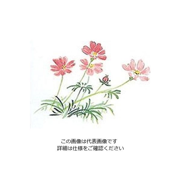 マイン 耐油懐敷 15角 秋桜 1000枚入 C33ー002 295243 1枚(1000枚) 63-1768-14（直送品）
