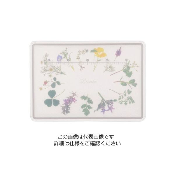 パール金属 Licute 軽くて滑りにくいまな板 スウィートハーブ C-1236 1枚 63-2746-47（直送品）