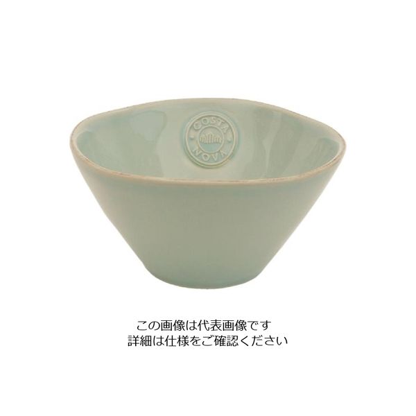 コスタ・ノバ ボウルT NOS151T 1個 63-4193-47（直送品）