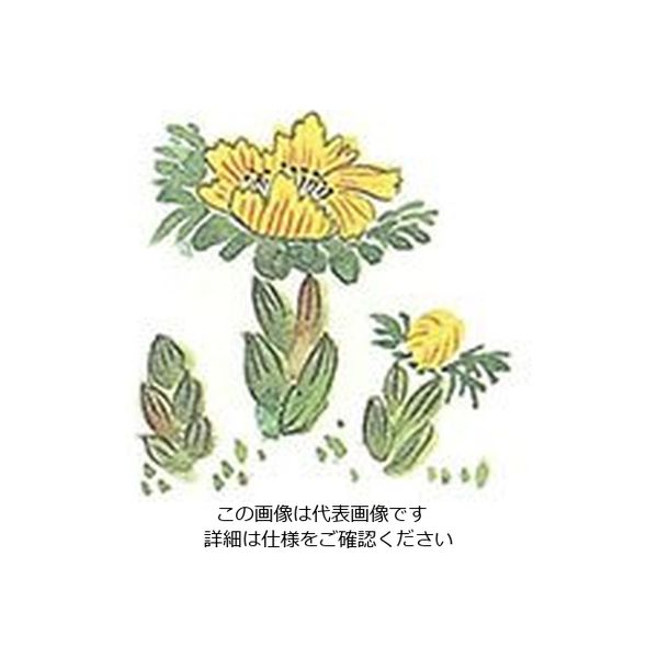 マイン 耐油懐敷 15角 福寿草 1000枚入 C30ー390 295217 1枚(1000枚) 63-1768-23（直送品）