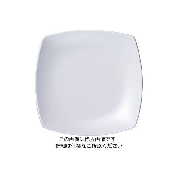 台和 菜津味 菜皿 白 SSー21ーW 319332 1個 63-1764-93（直送品）