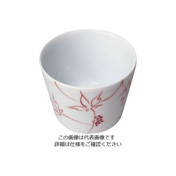 遠藤商事 そば千代口 うこぎ(赤) 2702-472 1個 63-5713-63（直送品）