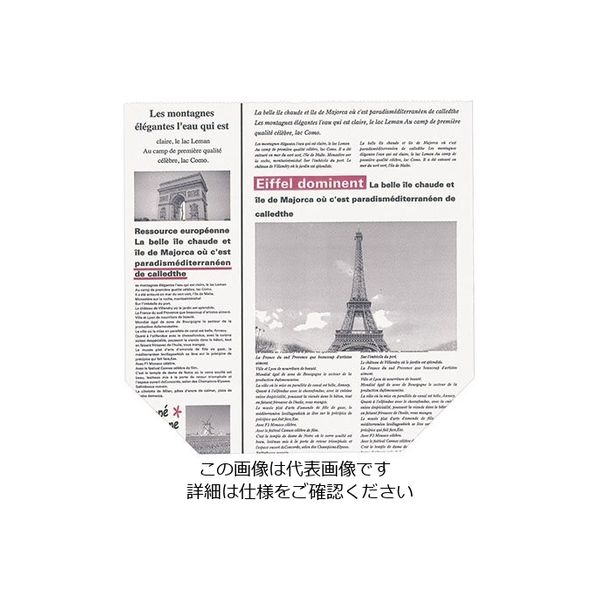 大阪ポリヱチレン販売 ヨーロピアン柄亀甲袋 100枚入 白 No.414 1セット(100枚) 63-5722-17（直送品）