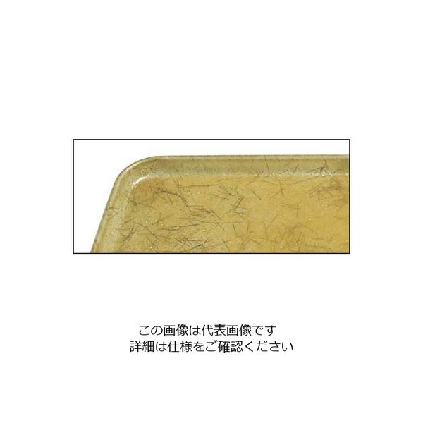 アズワン キャンブロ カムトレー 2025(528)G/C/B/G 63-7172-94 1個（直送品）