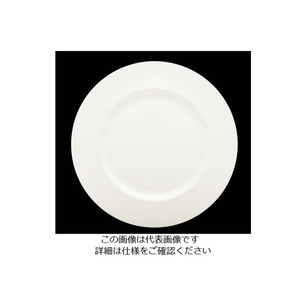 アズワン ローゼンタール ジェイド リムプレート