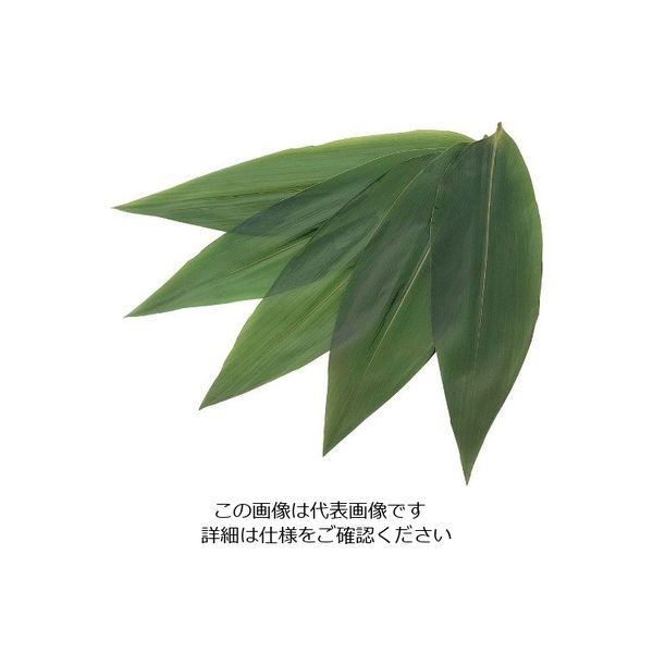 江部松商事 天然笹葉(100枚入)5120 7S 63-7230-34 1枚(100枚)（直送品）