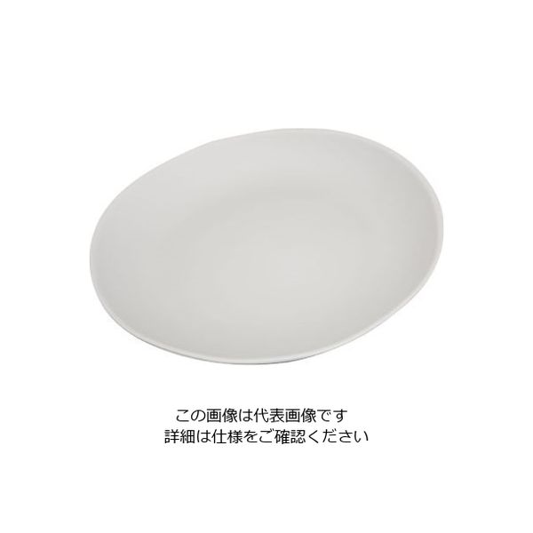 カーライルフードサービスプロダクツ リッジ・ディナーウェア ディナープレート セメント 53107 1個 64-4205-28（直送品）