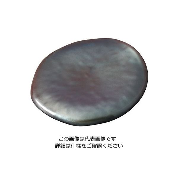 遠藤商事 セラミン耐熱パラディサークルプレート スパークグレー 64-4205-48 1個（直送品）