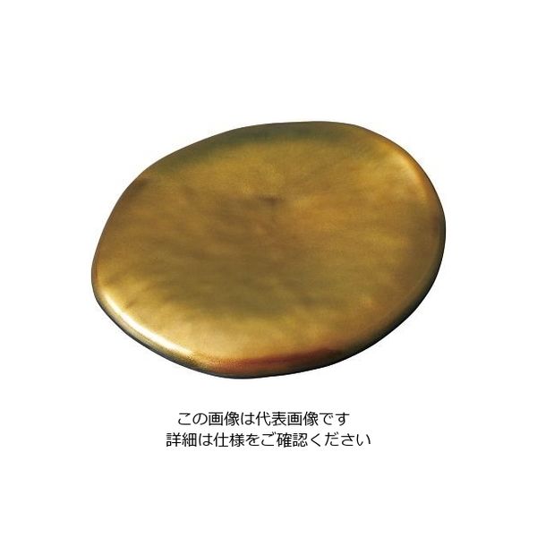 遠藤商事 セラミン耐熱パラディサークルプレート スパークゴールド 64-4205-49 1個（直送品）