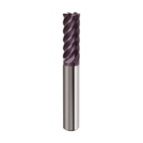 グーリングジャパン GUHRING 6枚刃エンドミル Power mill