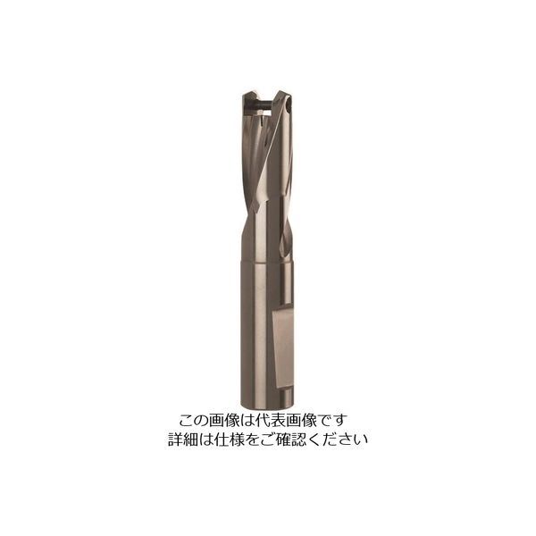 グーリング ドリルホルダ 1.5XD用 19.50～19.99mm 4106 19.500 180-4201（直送品）