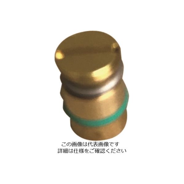 アルゴファイルジャパン アルゴファイル トメセン