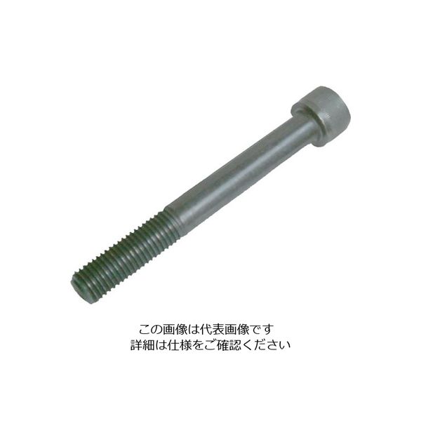 ニューストロング キャップスクリュー M24×75 CS-2475 1本 849-9454（直送品）