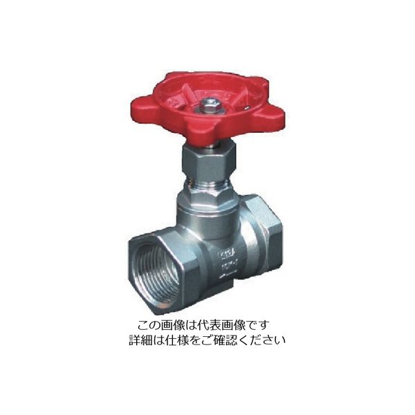 イノック（INOC） イノック ねじ込みグローブバルブ 304SGLV25A 1セット（6個） 806-5139（直送品）