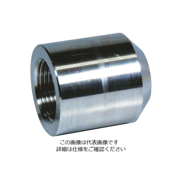 フジトク ボス 32A ステンレス 304 ねじ込み BOSS-PT-32A-SU4 1個 111-6961（直送品）