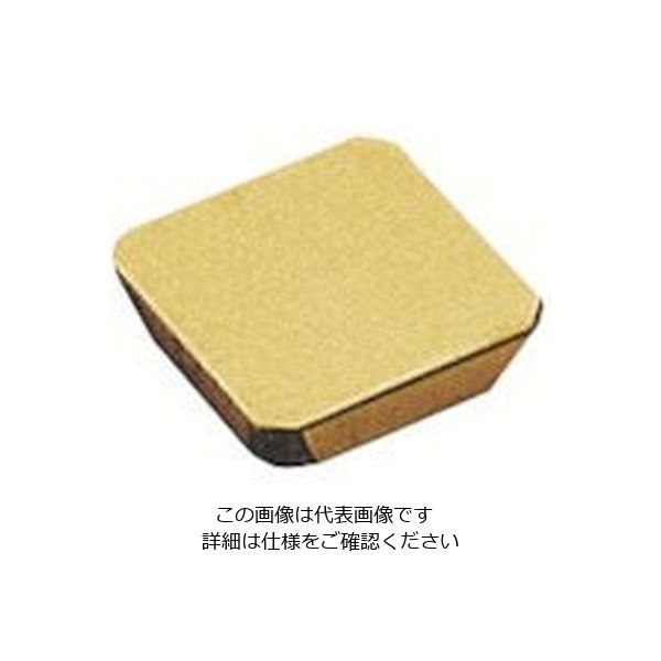 MOLDINO カッタ用チップ SDK53TNーC9 CH550 1セット(10個) 815-6739（直送品）