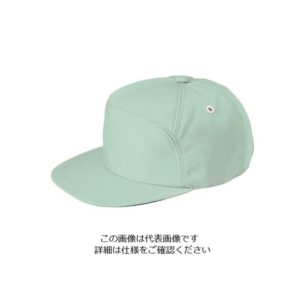 アイトス アポロキャップクリーンアースL 8617-005-L 1着 212-9695（直送品）