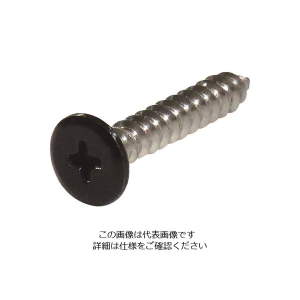ダイドーハント ネジカラー ステンレス低頭タッピング 3x12黒(8本) 10179137 1パック(8本) 146-4930（直送品）