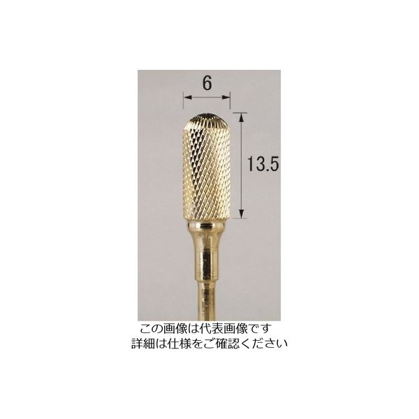 アルゴファイルジャパン アルゴファイル 超硬カッターチタンコート逆刃EFクロスカットカーバイドバー CTL2004 1本 203-4316（直送品）