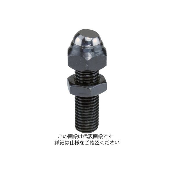 ニューストロング スイベルアライニングボルト ロング(Fタイプ) SALF-10 1本 837-9540（直送品）