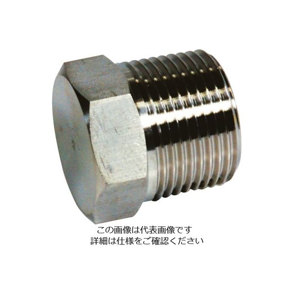 フジトク 六角プラグ 20A ステンレス SUS316 6PU-PT-20A-SU6 1個 112-0058（直送品）