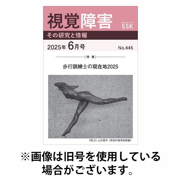 【活字版】視覚障害――その研究と情報 2025/10/01発売号から1年(12冊)(雑誌)（直送品）