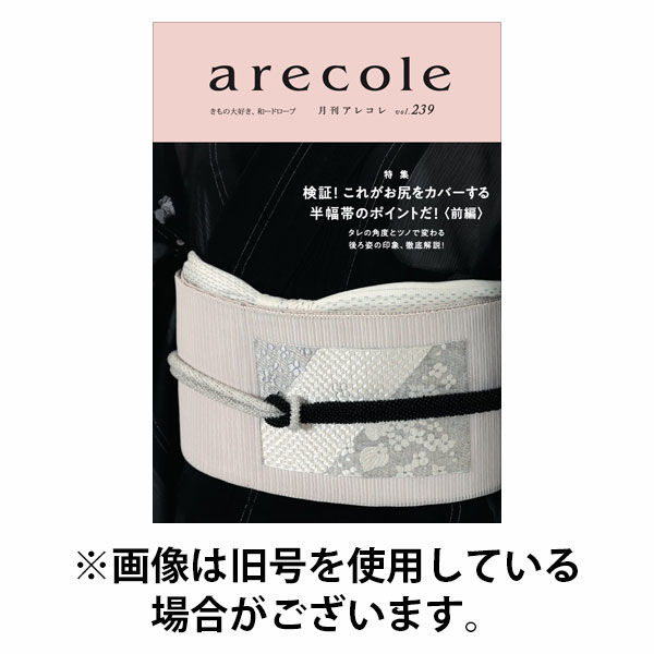 月刊アレコレ 2025/10/10発売号から1年(12冊)(雑誌)（直送品）