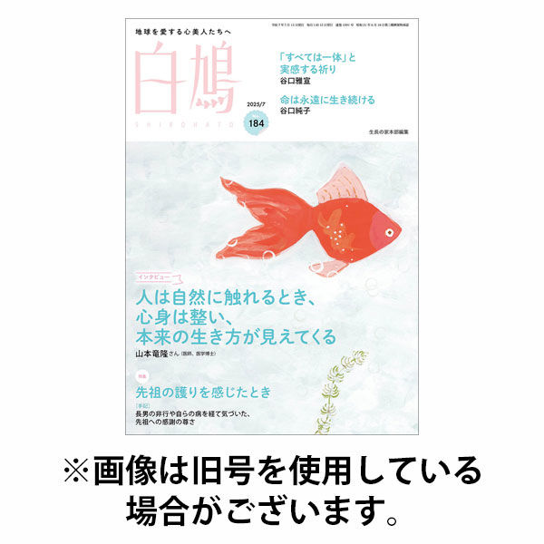 白鳩 2025/10/20発売号から1年(12冊)(雑誌)（直送品）