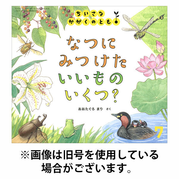 ちいさなかがくのとも 2025/10/03発売号から1年(12冊)(雑誌