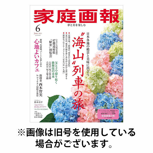 家庭画報 2025/10/01発売号から1年(12冊)(雑誌)（直送品）