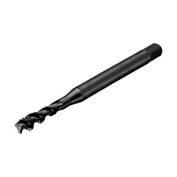 サンドビック SANDVIK コロタップ300 スパイラルタップ(780) B145 T300-MM171JA-M12 1本（直送品）