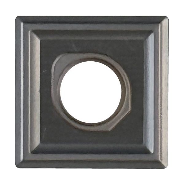 信濃機販 SI C面チップ 標準タイプ 693-100C 1パック(10個) 500-5800（直送品）