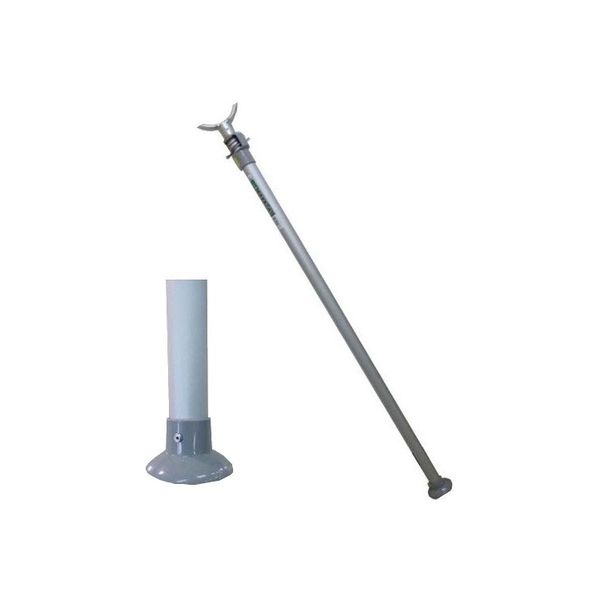 道枝 グッズ詰め合わせ かんきつジュレ「いちずみ」 紅まどんな・せとか入り（14個