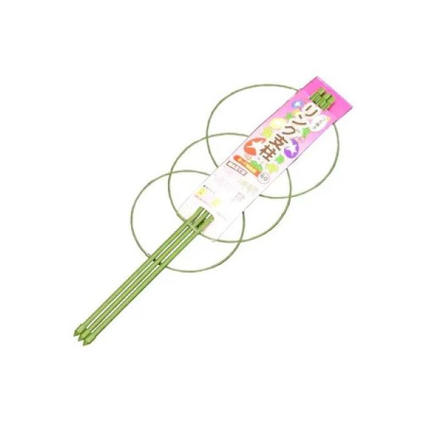 なおさと様 状態A-〕おじょうさま【SR】{100/094}