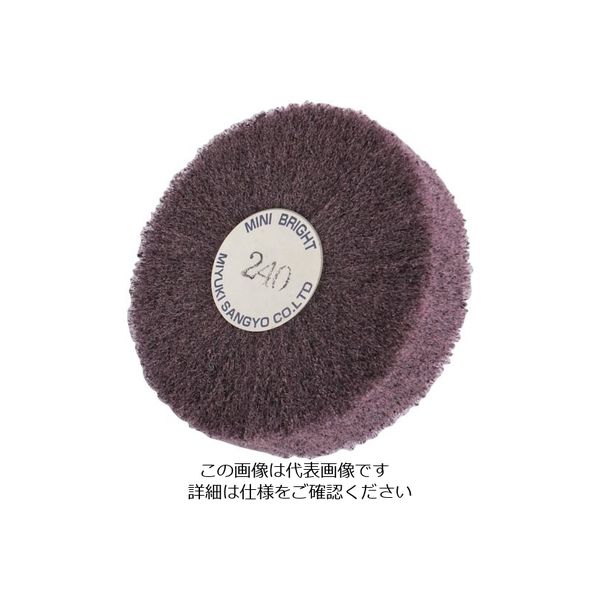 ミユキ産業 ミユキ ブライトミニ 100X25X6 240# BM100252-240 1セット(5個) 828-4485（直送品）