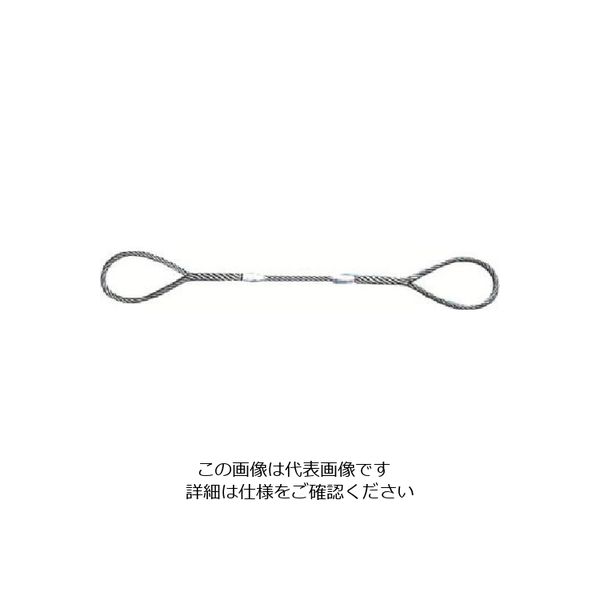 日興製綱 ニッコウ Wスリング（裸） 全長3.0m スリング径22mm W22-3H 1セット（2本） 815-7451（直送品）