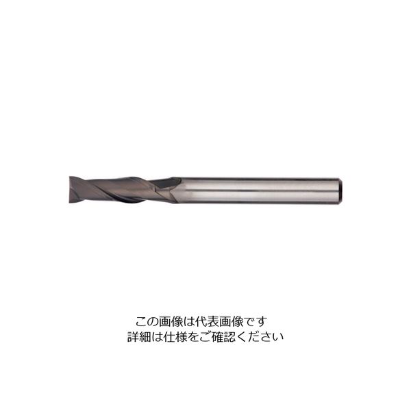 日進工具 NS 2枚刃ロングラジアスEM φ0.5XR0.1X6 MHRH230R 0.5XR0.1X6 176-1690（直送品）