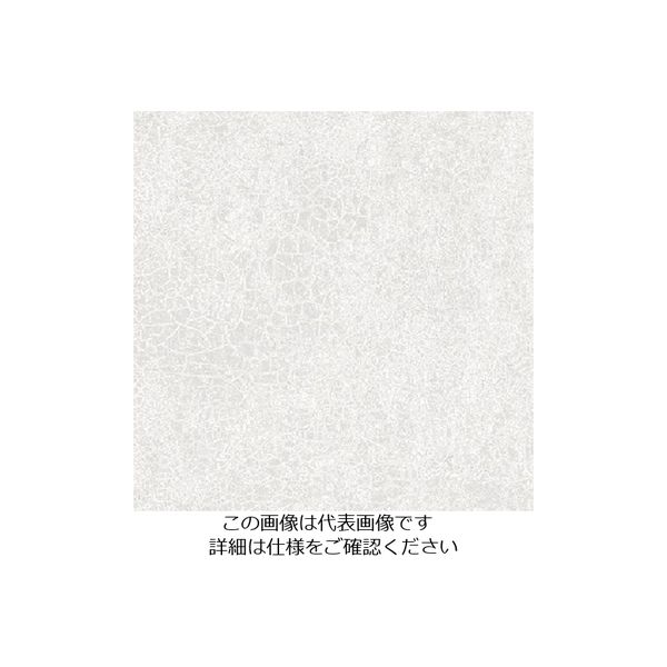 スリーエム ジャパン 3M ダイノックフィルム AEー1634 1220mmX50m AE1634 1巻 104-6823（直送品）