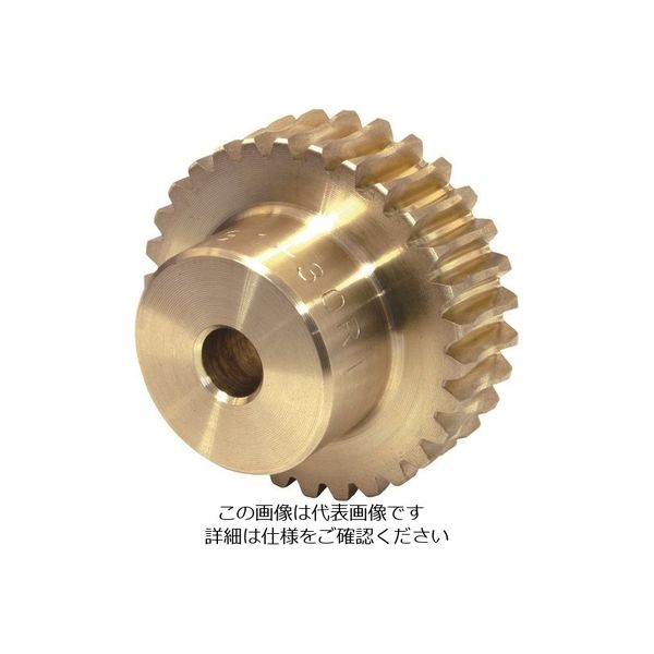 小原歯車工業 KHK ウォームホイールAG2.5ー50R1 AG2.5-50R1 1個 126-2077（直送品）